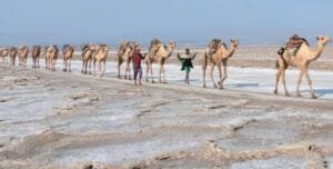 OVERVIEW ABOUT ETHIOPIA visual data 3